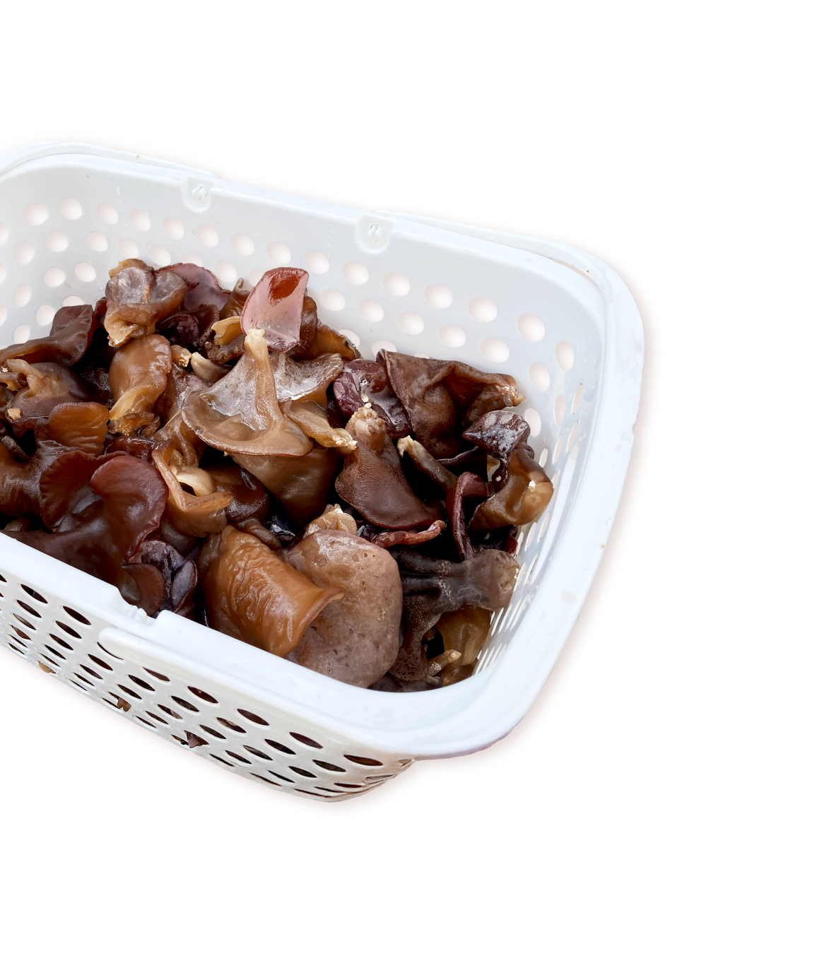 かごに入ったきくらげ